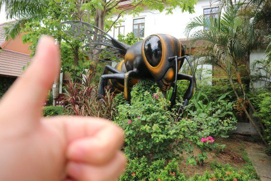 Big Bee Farm