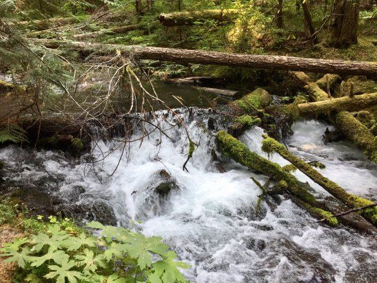 Little Zigzag Falls