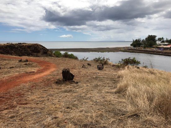 Cook Landing Site