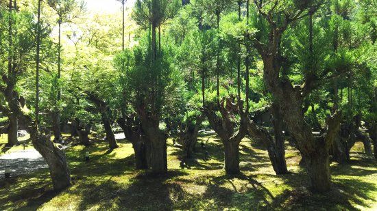 Shozan Resort Kyoto