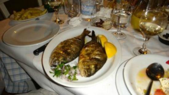 Mathios Taverna