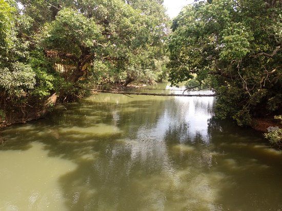 Nisargadhama
