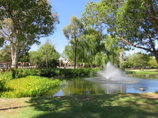 Waring Gardens