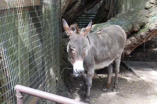 Guam Zoo
