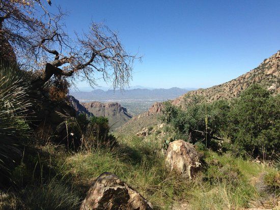 Pima Canyon
