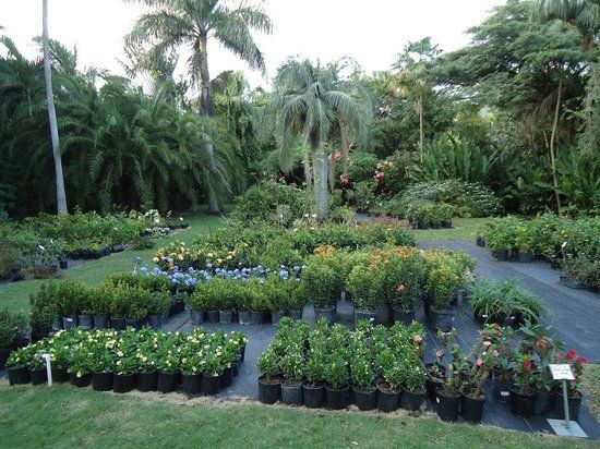 Cruzan Gardens