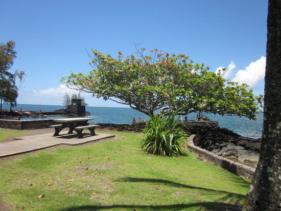 Coconut Island