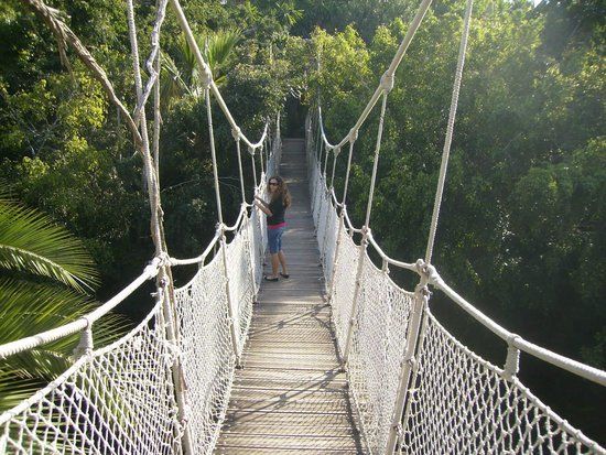 Jungle Park