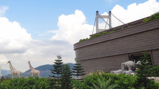 Noah's Ark