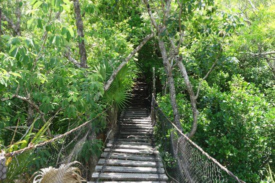 Dr. Alfredo Barrera Marin Botanical Garden