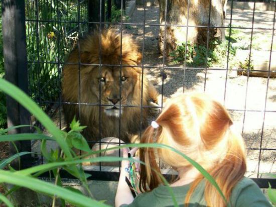 Potawatomi Zoo