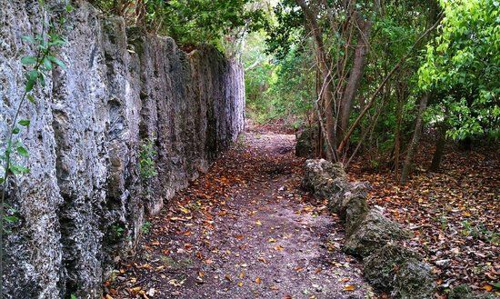 Windley Key Fossil Reef Geological State Park