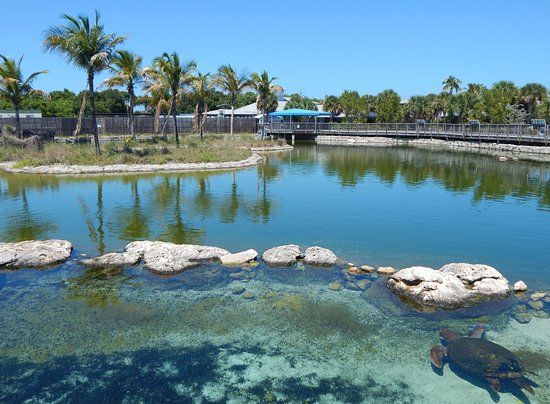 Centro didattico naturalistico Florida Oceanographic Coastal Center