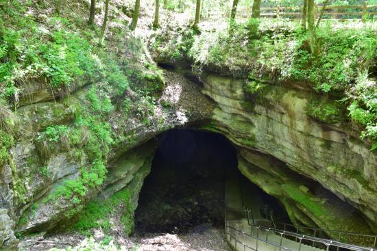 Mammoth Cave