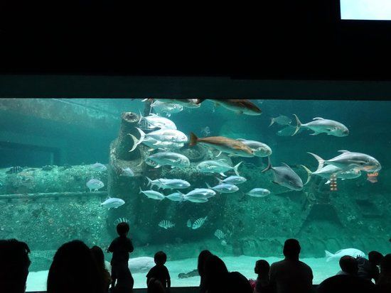 North Carolina Aquarium at Pine Knoll Shores