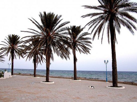 Hammamet Medina