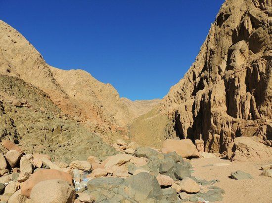 King Safari Dahab St. Catherine