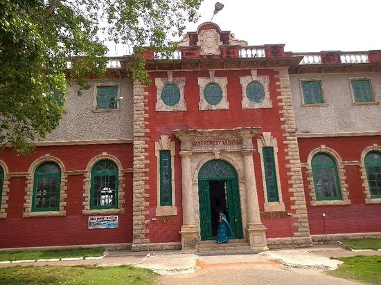 Gass Forest Museum