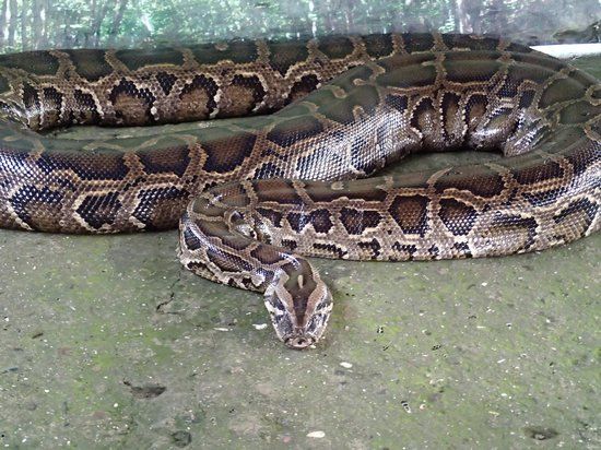 Xzootic Animal Park
