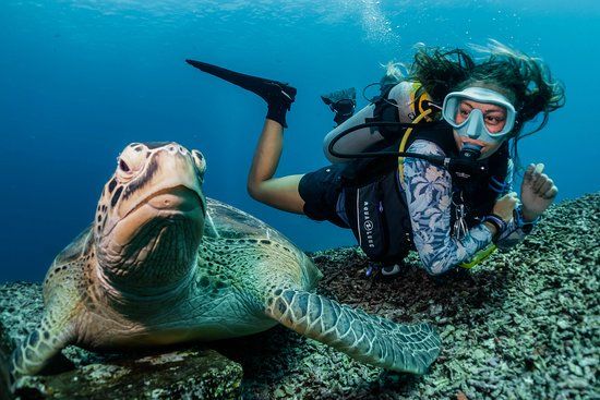 Gili Divers