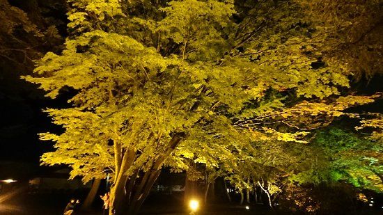 Miharashi Park