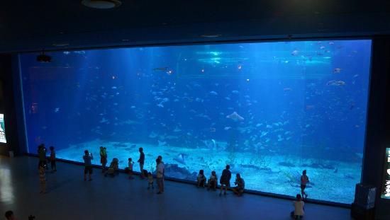 Aqua Planet JEJU