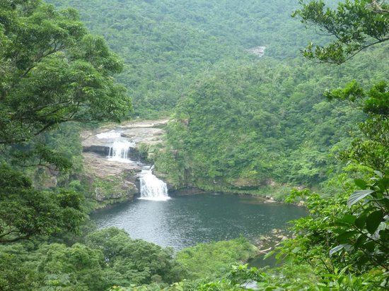 Mariudo Fall