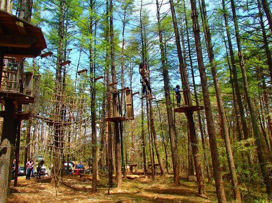 Forest Adventure Mt Fuji