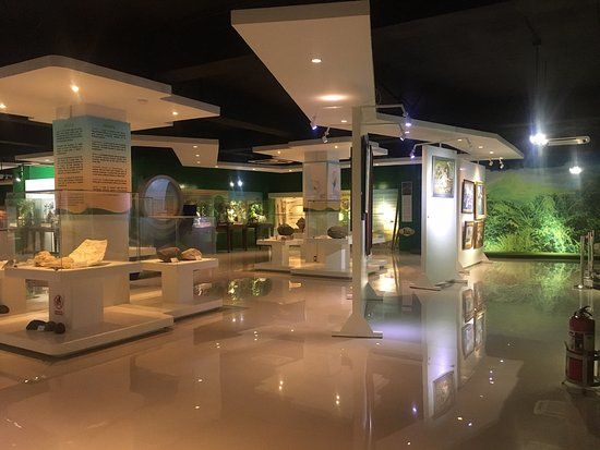 Clark Museum