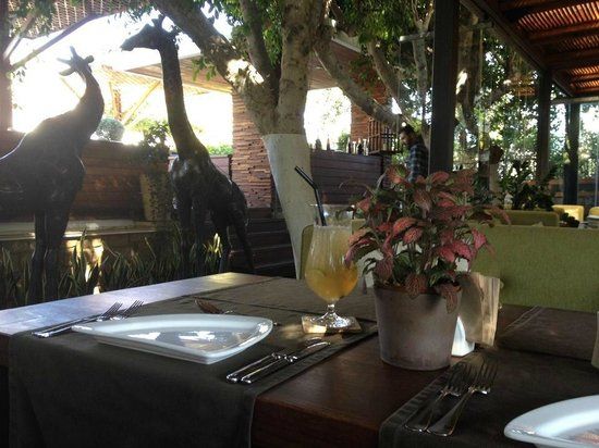 The Garden Restaurant
