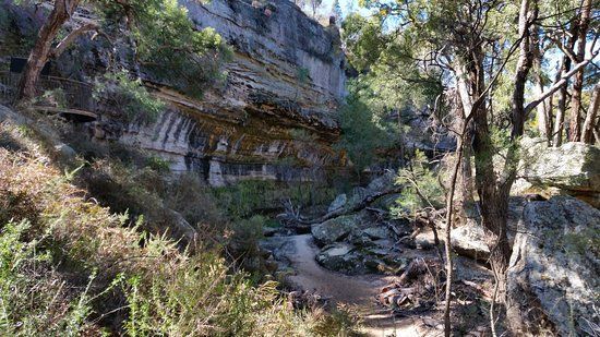The Drip Gorge
