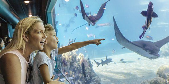 SeaWorld