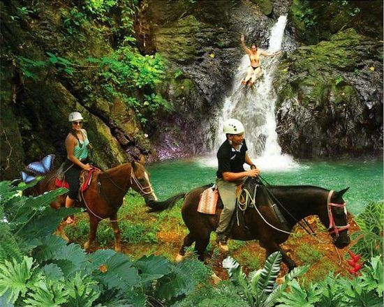 Vista Los Sueños Cabalgatas