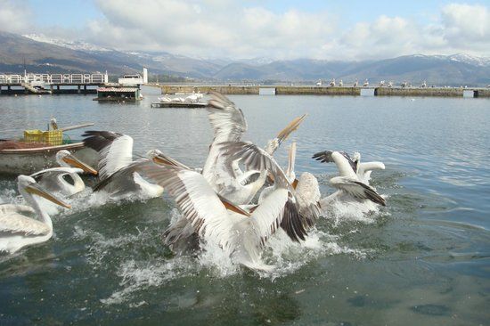 Kastoria Lake
