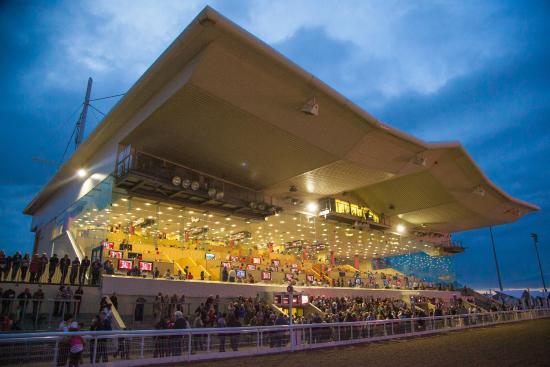 Dundalk Stadium