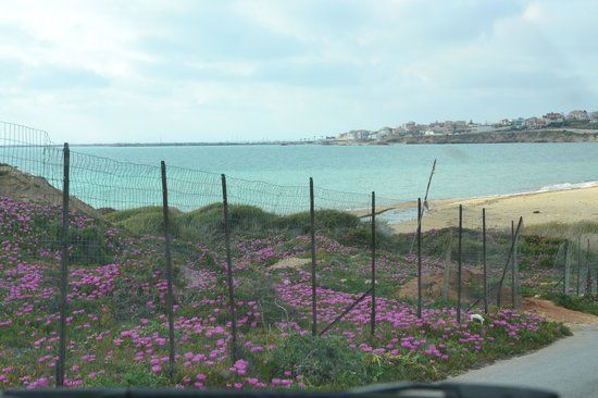 Scoglitti Porto