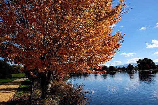Henley Lake