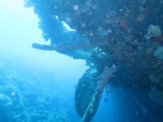 Hilma Hooker