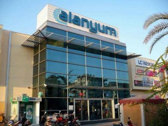 Alanyum