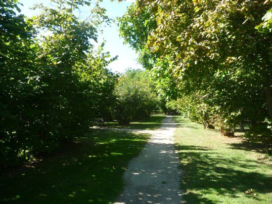 Gellatly Nut Farm
