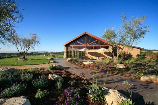 Calcareous Vineyard