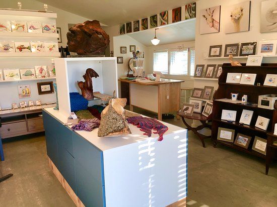 Sandphifer Gallery