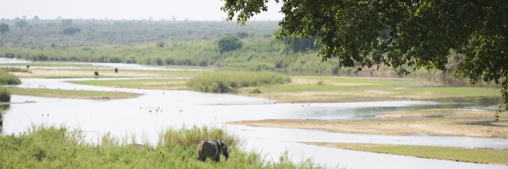 Sabie River