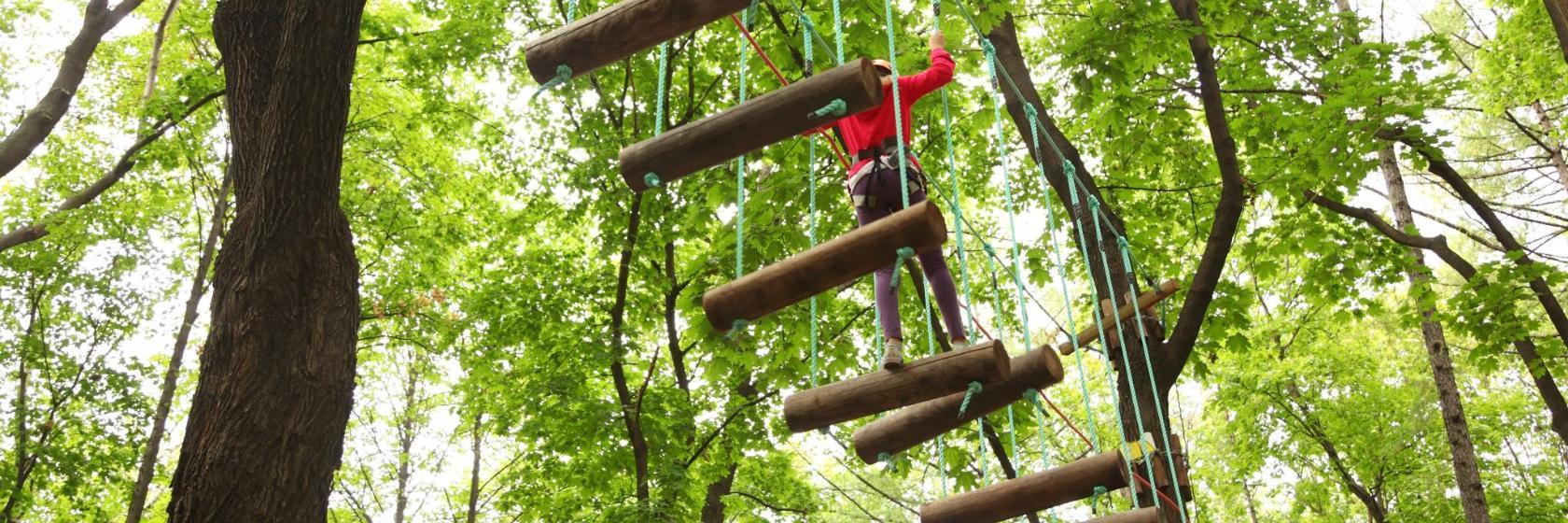 Jungle Park