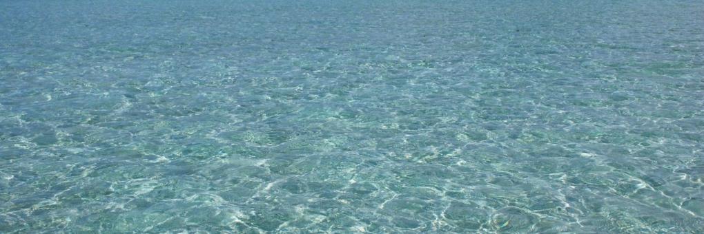 Strand Maragogi