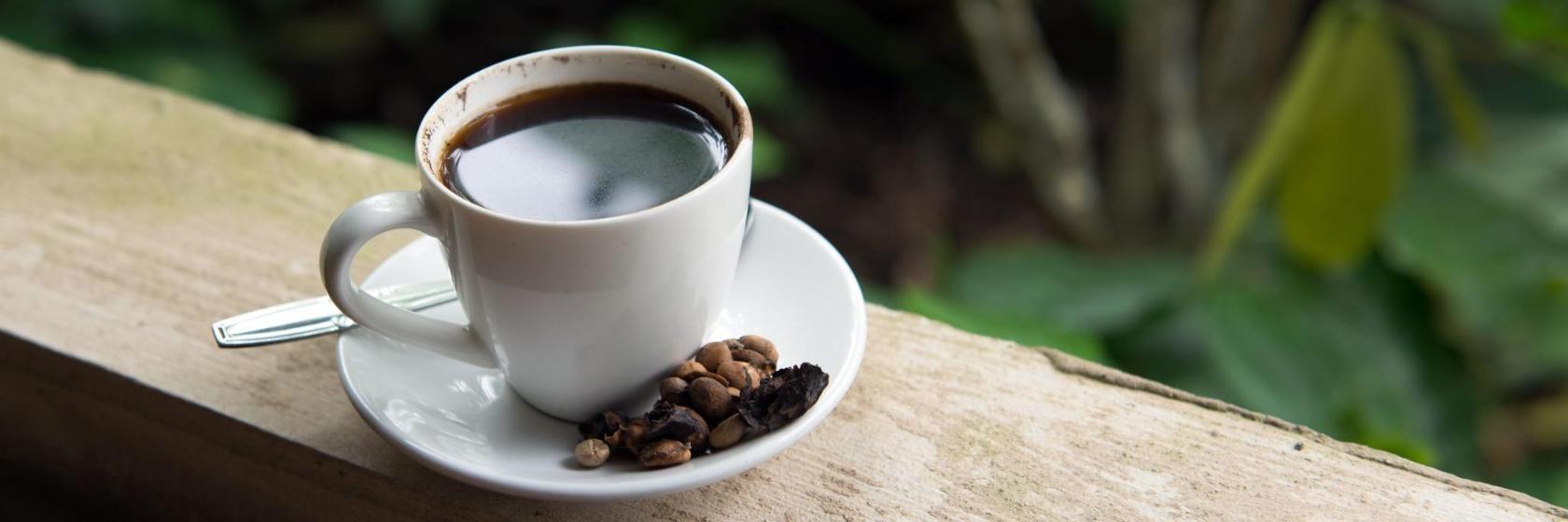 Kopi Bali House