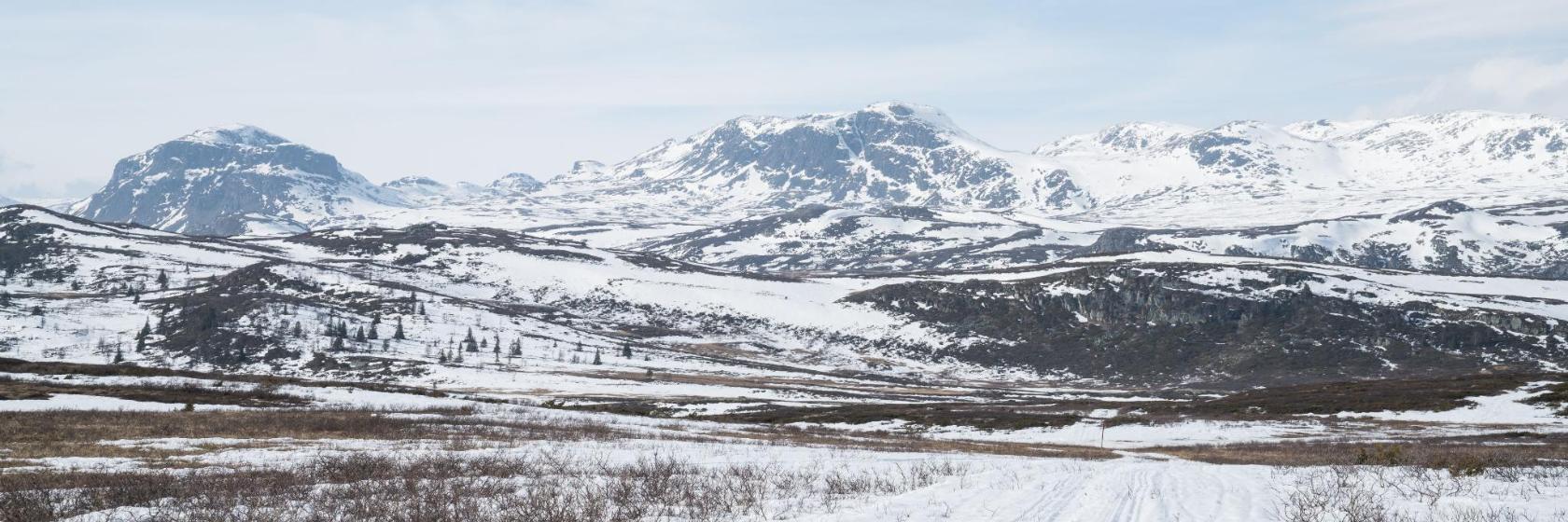 Golsfjellet