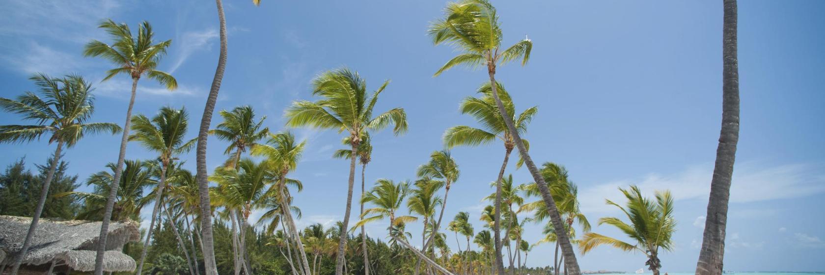 Playa Juanillo