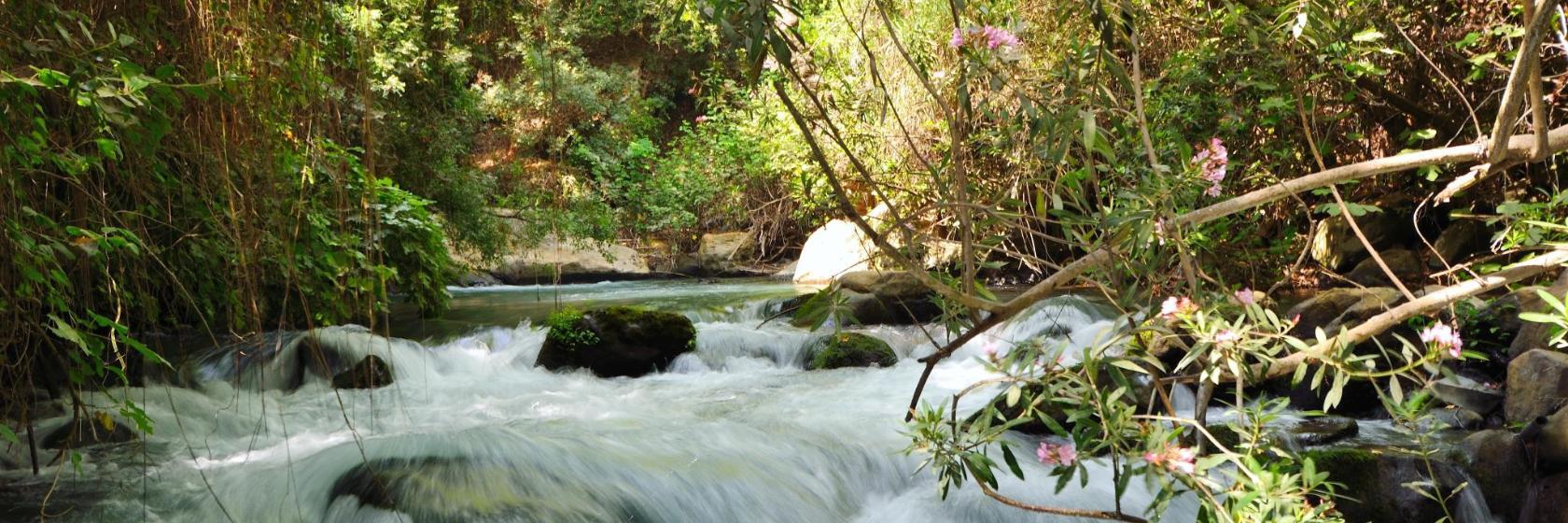 Naturschutzgebiet Hermon Stream Banias