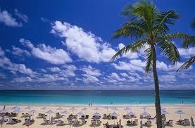 Elbow Beach